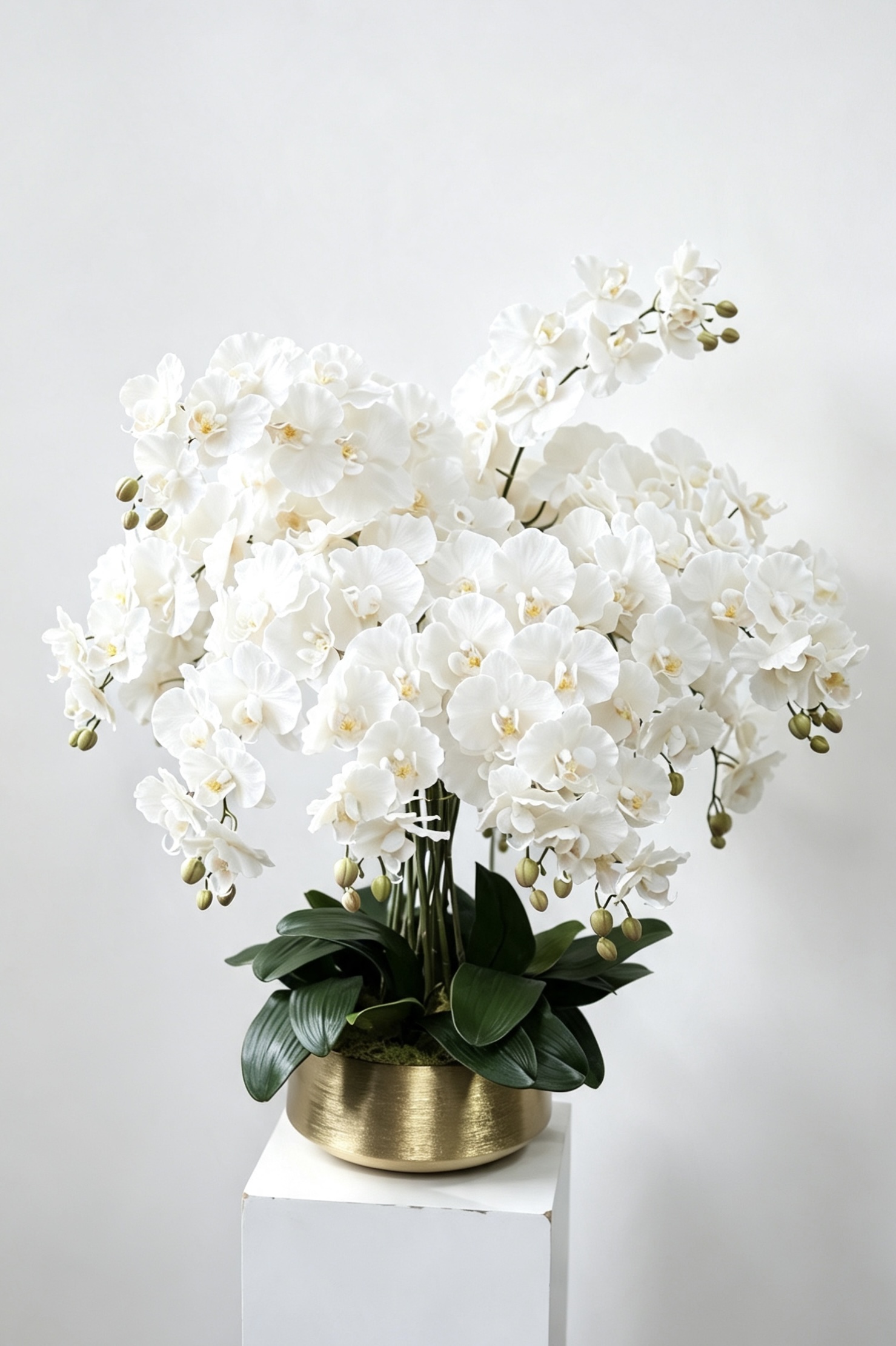Aurelia grand white sixteen-stem silk orchid arrangement in a gold pot