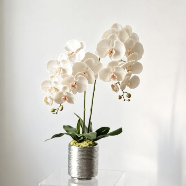 Luna ivory two-stem silk orchid arrangement in a silver ceramic pot
